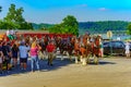 Budweiser Clydesdales in Wrightsville Royalty Free Stock Photo